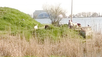 DOBROGEA. Cum va fi vremea, până la jumătatea lunii mai